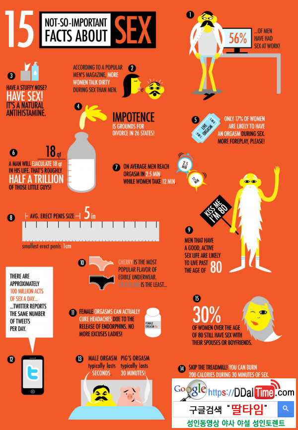 섹스에 관한 중요하지 않은 사실 15가지 이미지 #1