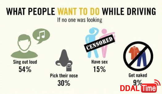 아무도 보지 않을 때 운전 중 하고 싶은 일 이미지 #2