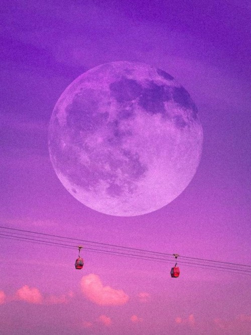 ㅗㅗㅗ 이미지 #1