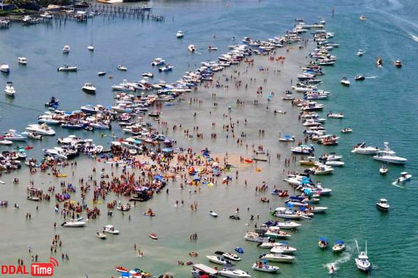 호불호 갈리는 해변 파티 이미지 #1