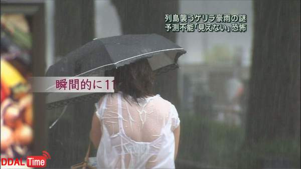 그냥 빠꾸 없이 다 보여주는 성진국 공영방송 이미지 #2