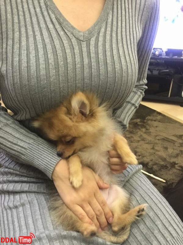 여자 F컵 가슴이 생각보다 작다는 이유 이미지 #4