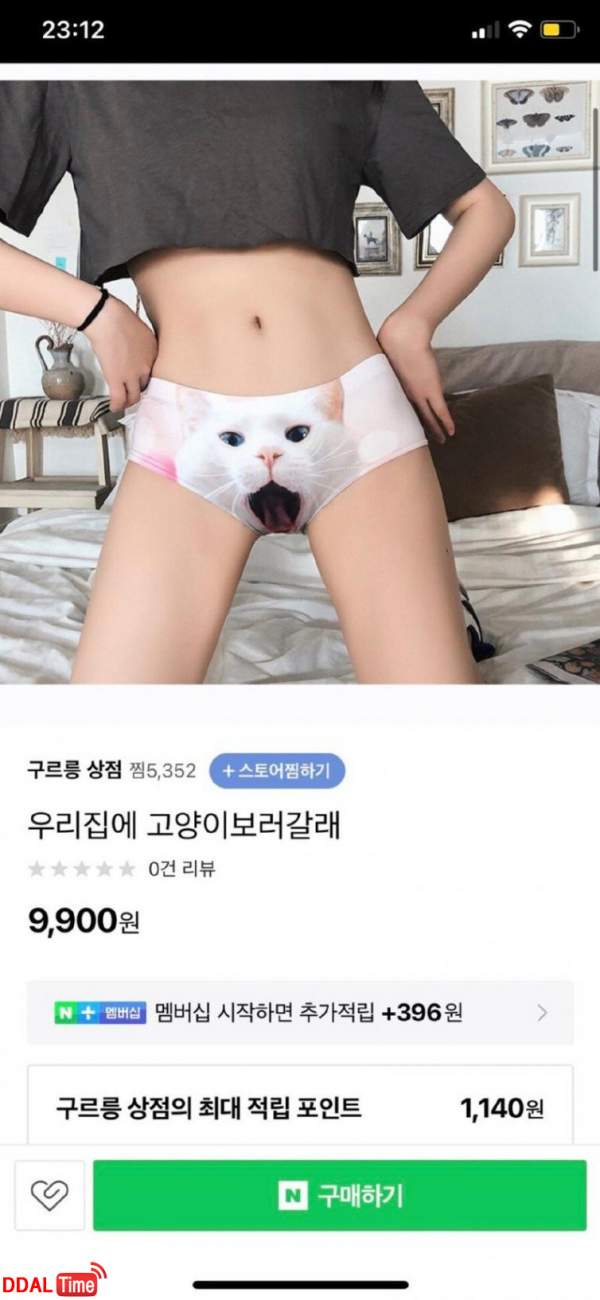 "우리집 고양이 보러 갈래...?" 이미지 #1