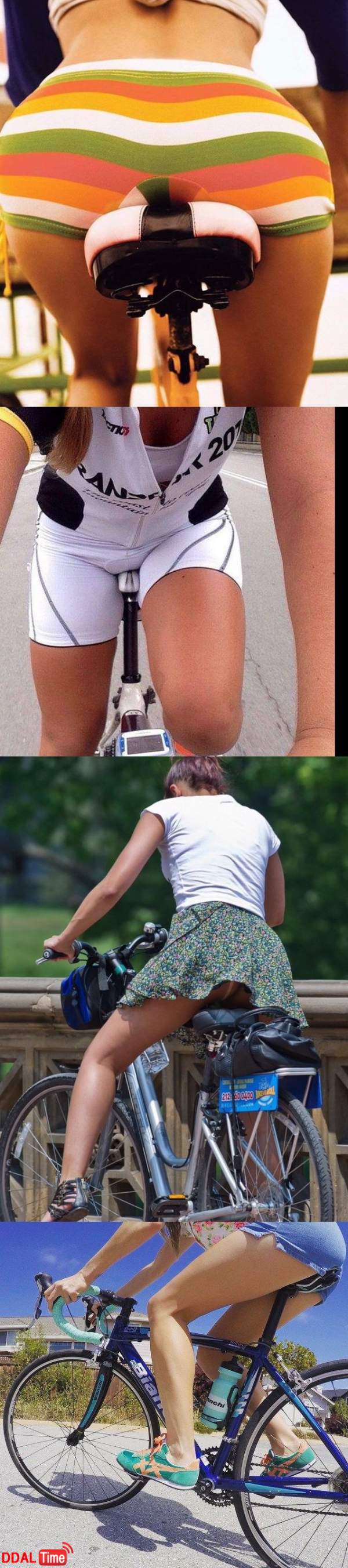 자전거 동호회가 동물의 왕국인 이유 이미지 #1