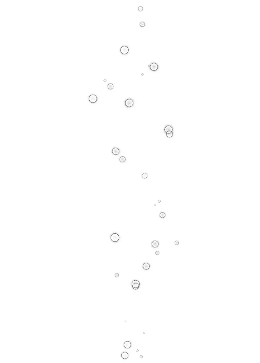 17598906227565.webp