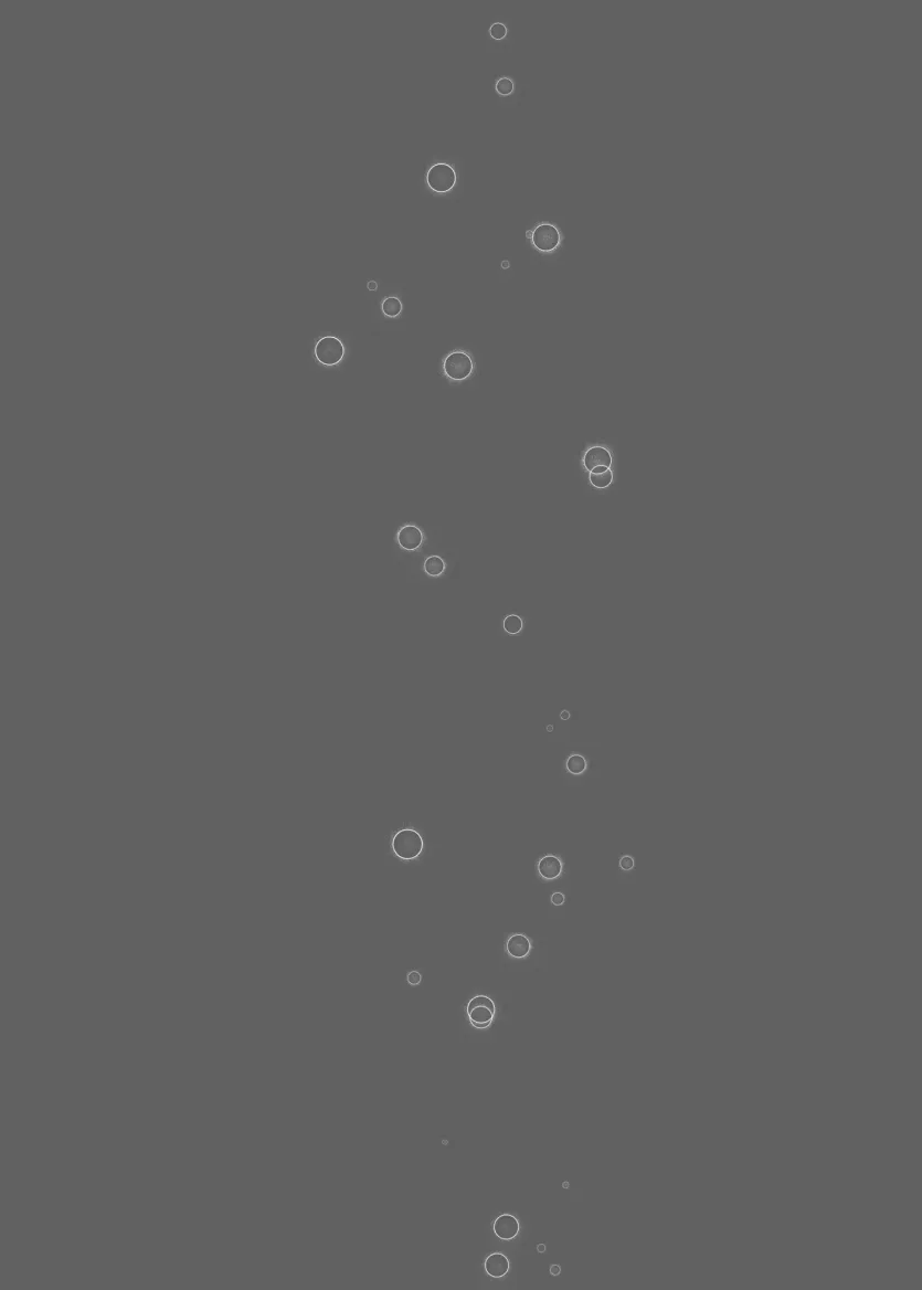 1759890625552.webp
