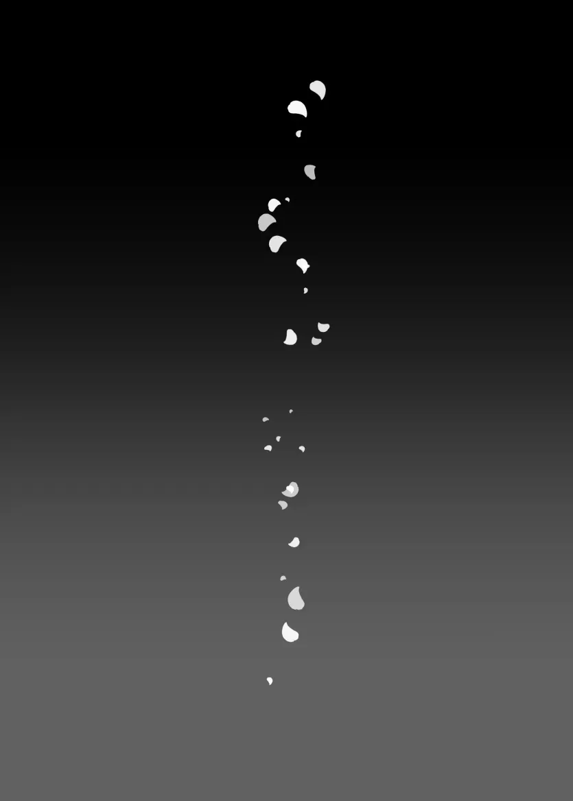 17598906307175.webp